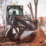 cheap tree removal services