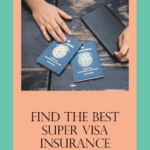 super visa insurance