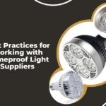 Flameproof light supplier India