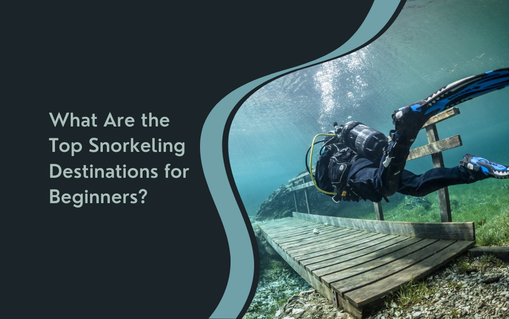 What Are the Top Snorkeling Destinations for Beginners?