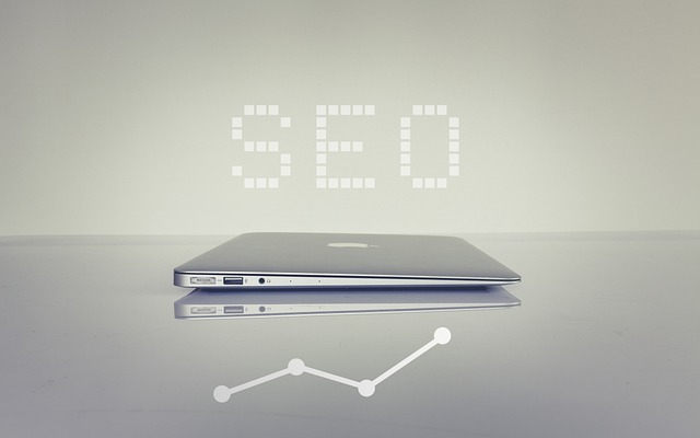CEO or SEO? Know the difference between these concepts!