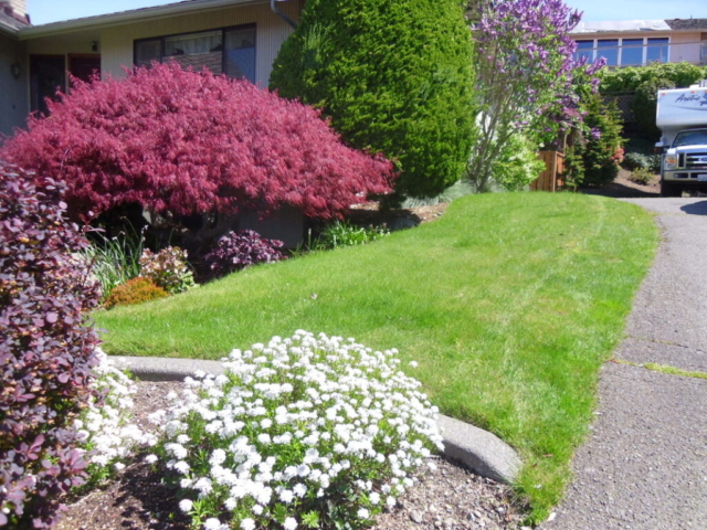 Top Commercial Landscaping Services in Ballard – Enhance Your Property