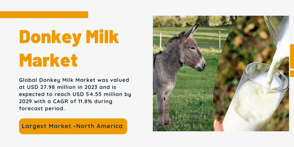 Donkey Milk Market Report Future Trends and Growth Forecast for {2029}