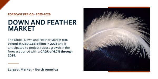 Down and Feather Market Key Insights on USD 1.66 Billion Value and {6.7%} CAGR Growth