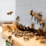 Integrated Pest Management
