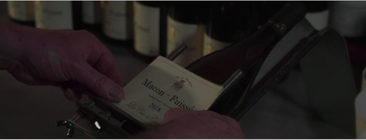 Les Vins de Bourgogne à Dijon : Un Voyage au Cœur des Vignob