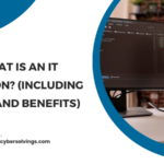 What Is an IT solution? (Including Types and Benefits)