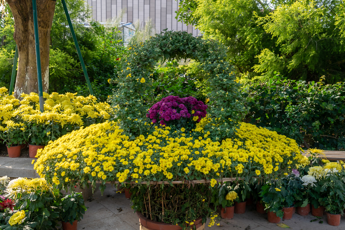 How to Choose the Right Plants for Your Landscape