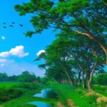 visit in Bangladesh