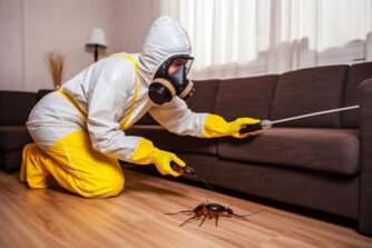 Melbourne Pest Control: What to Expect After the Treatment
