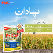 Padan 4G Cartap Hydrochloride-A Comprehensive Guide