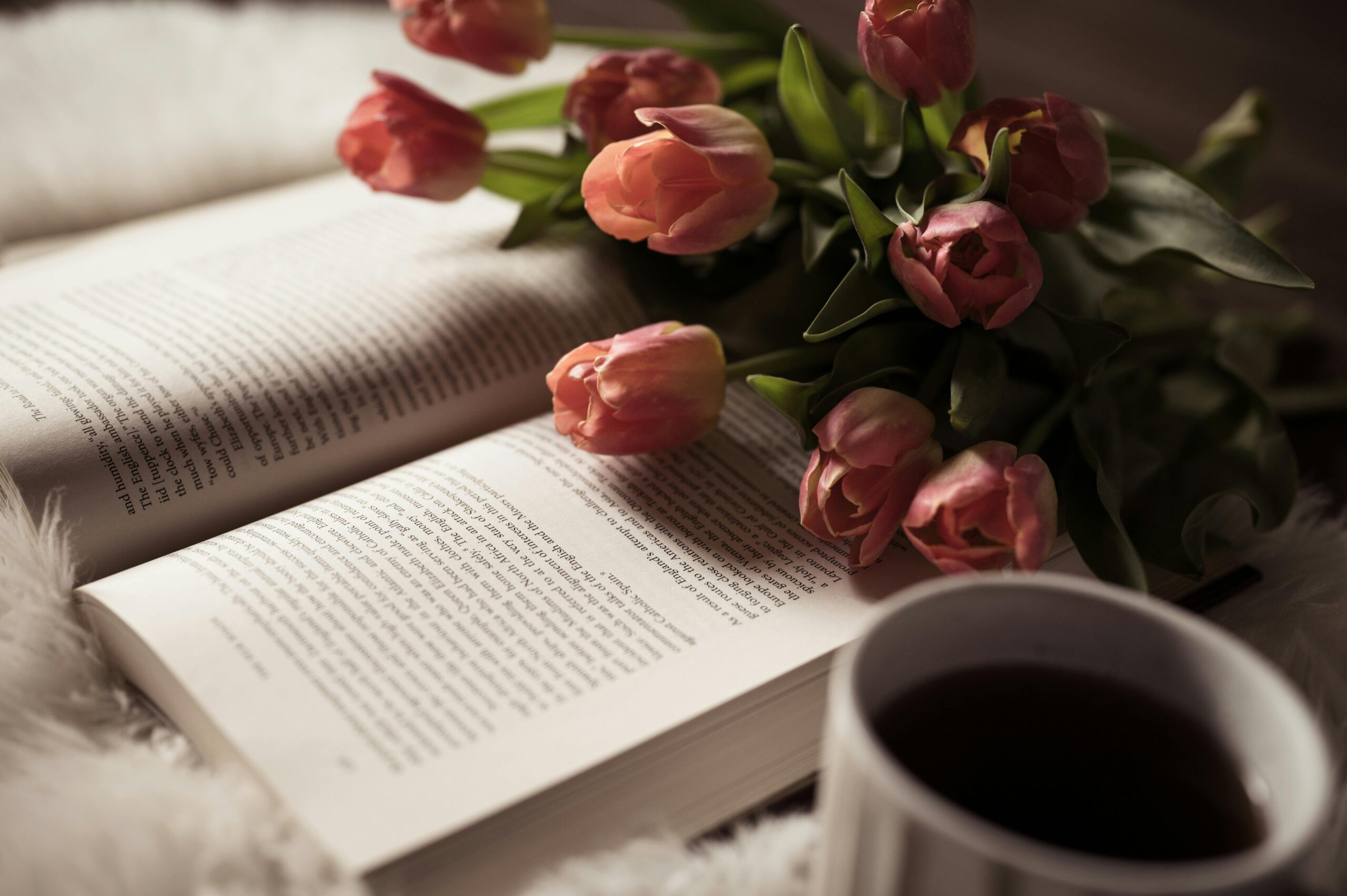 Discover the Best Book for Spiritual Growth by Barbara Camp