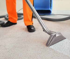 Professional Carpet Cleaning: Enhancing Comfort and Reducing Allergens