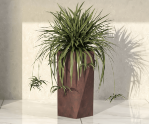 Different Types of Planter Pots That You Can Get for Your Plants