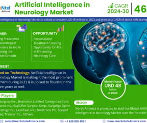 Artificial Intelligence in Neurology Market Research: Size, Share, and Future Growth Analysis for 2024-2030