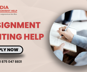 The Ultimate Guide to Hiring an Essay Assignment Writer