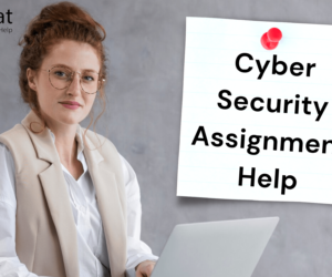 Why To Study Cyber Security And Get Cyber Security Assignment Help?