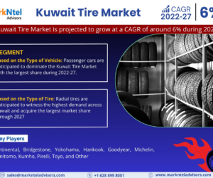Kuwait Tire Market Report: Size, Share, and Leading Companies Insights for 2030