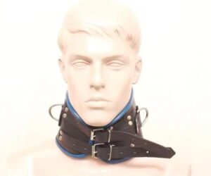 What is a Leather BDSM Collar How did we choose the right collar and why?