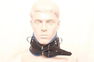 leather bdsm collar