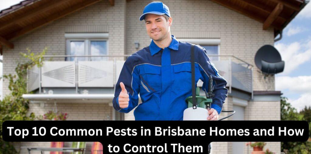 Pest control service