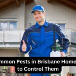 Pest control service