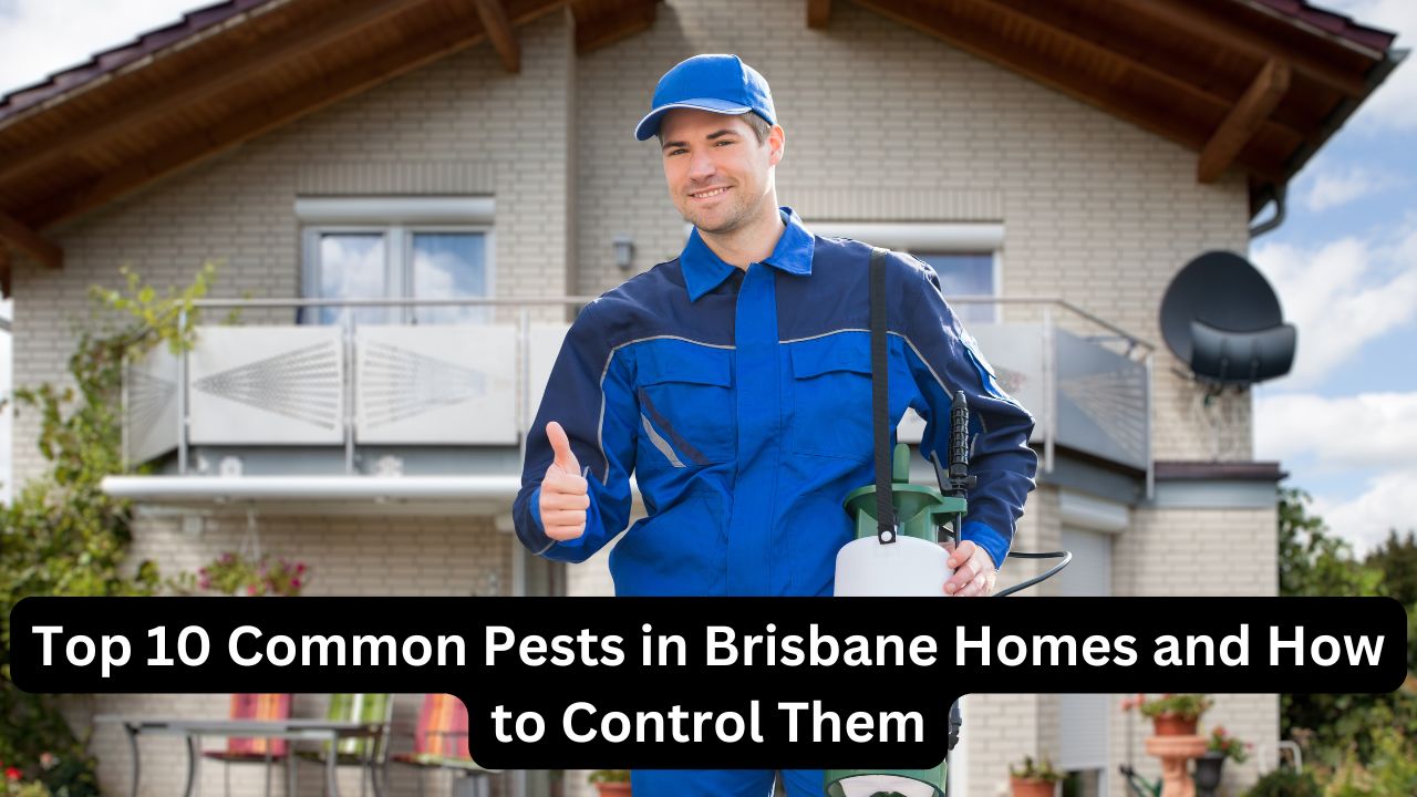 Pest control service