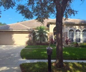 Steve Levin, Realtor – The King of Real Estate and Team