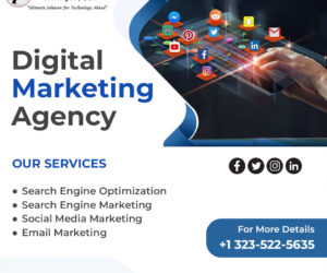 SEO and Digital Marketing Service