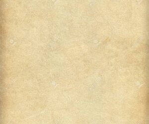 Beyond the Paper: The Art of Custom Kraft Paper