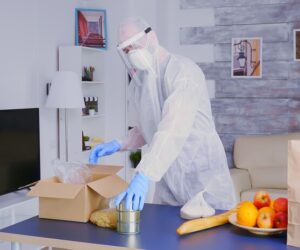 How to Choose the Right Rodent Control Service Near You