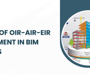 The Role of OIR-AIR-EIR Management in BIM Projects