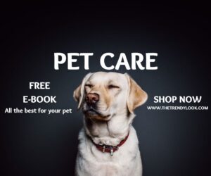 Natural Pet Care: Our Herbal Remedies for Happy, Healthy Pets