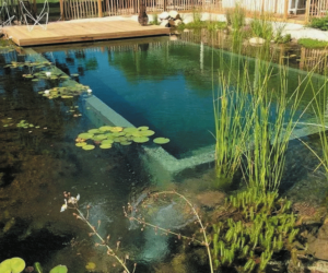 Transform Your Backyard right into a Relaxing Oasis with Expert Pool Building Services in Squamish