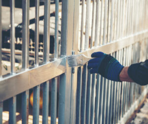 The Complete Guide to Fencing Options for Privacy and Security