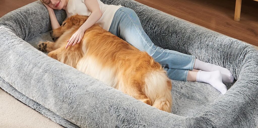 Kmart Dog Bed Australia