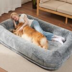 Kmart Dog Bed Australia