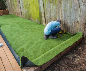 Creating a Beautiful and Sustainable Landscape with Expert