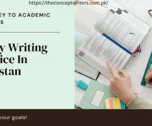 Cheap Essay Writing Service: Quality on a Budget