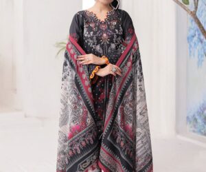 Luxury Ladies Suit Designs and Collections