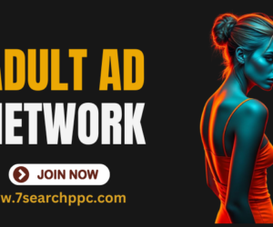 Find the Best Porn Ad Network to Drive Revenue from Your Content
