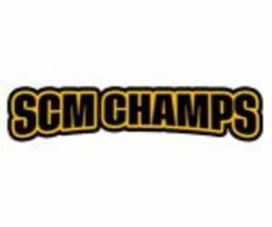 Trusted SAP Consulting Service for Your Digital Transformation by SCM Champs Inc