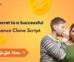 The Secret to a Successful Binance Clone Script