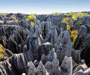 5 Exciting things to do in Madagascar