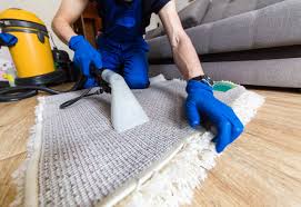 Fort Collins Carpet Cleaning – A Complete Guide