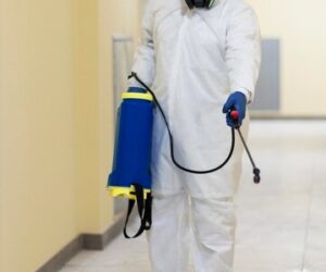 Preventing Cockroach Infestations: Tips for a Roach-Free Home