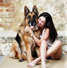 Essential Guide to Pets Care in Australia | Happy Healthy Pets