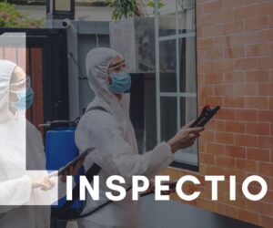 Reliable Pest Control Services in Northern Ireland: Residential Solutions and Wasp Nest Removal in Belfast