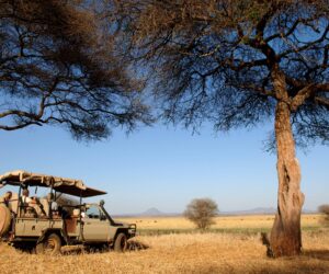 Unveiling the Top 5 Reasons Why Tanzania Should Be Your Next Travel Destination