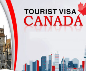 How to Track Your Canada Visit Visa Application Status?